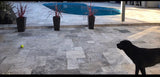 Travertine Silver Renzo Tumbled  Premium  Paver 610x406x30 per m2