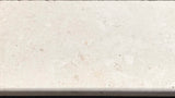 SHELLSTONE HONED / TUMBLED PAVER 610x406x30
